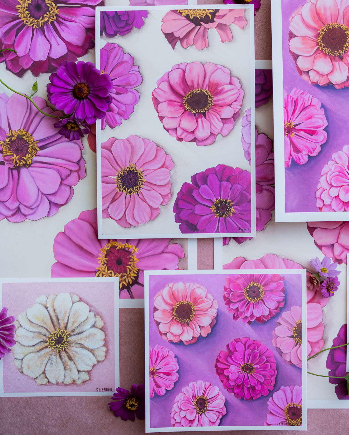 A flat-lay arrangement of multiple art prints featuring colorful zinnia flowers in shades of pink, purple, magenta, and white, set against a soft pink background.