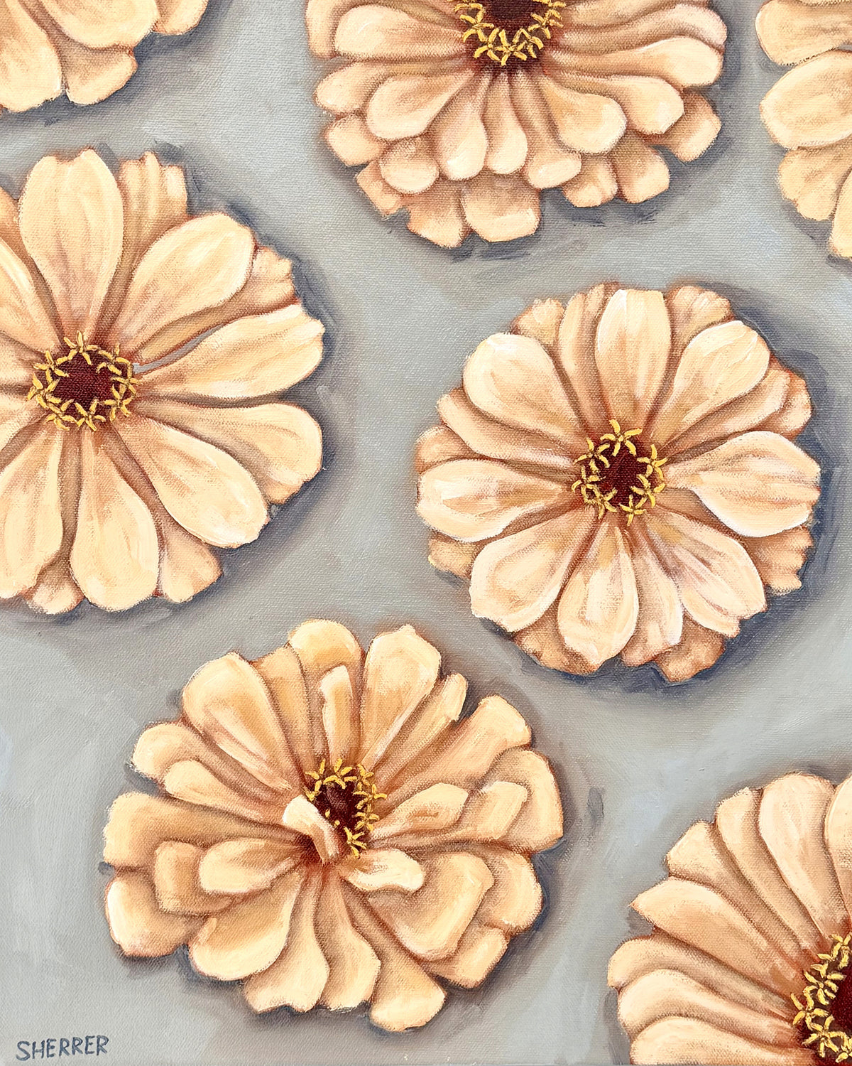 Clear Skies, original oil painting by Caroline Sherrer, featuring seven cream zinnia blossoms scattered across a blue-gray background.