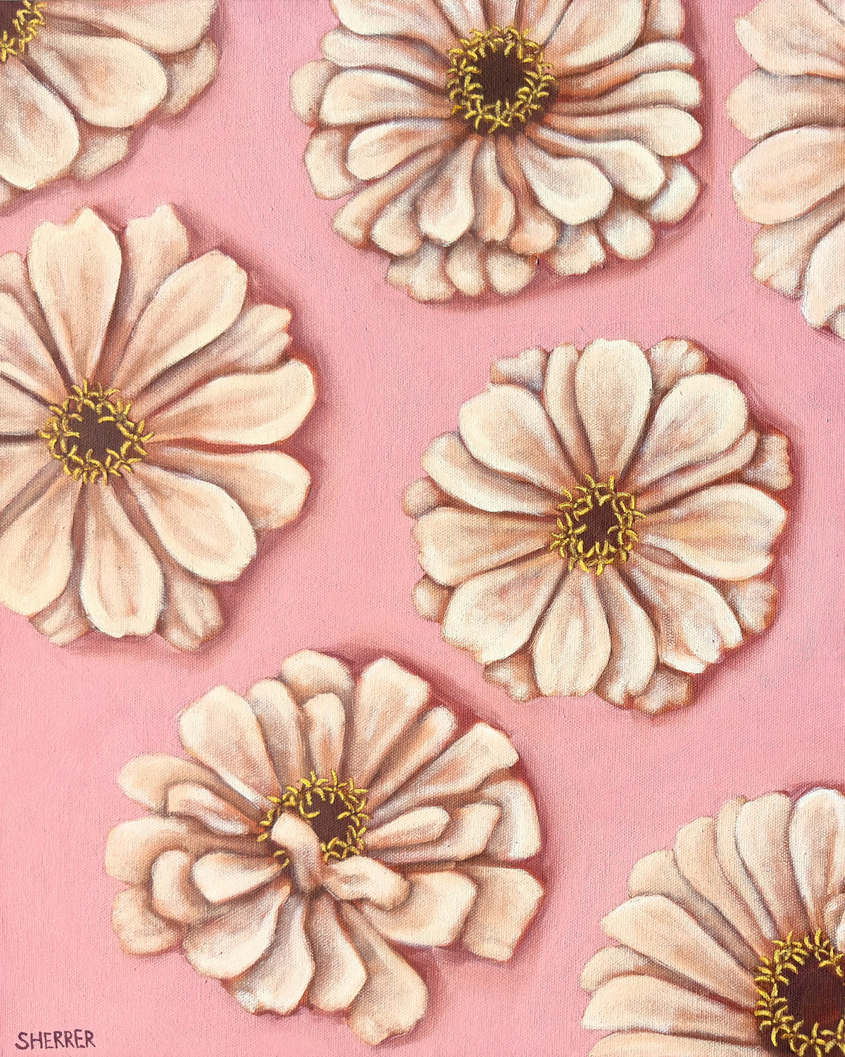 Petal Parade, original oil painting by Caroline Sherrer, featuring seven cream zinnia blossoms scattered across a light pink background.