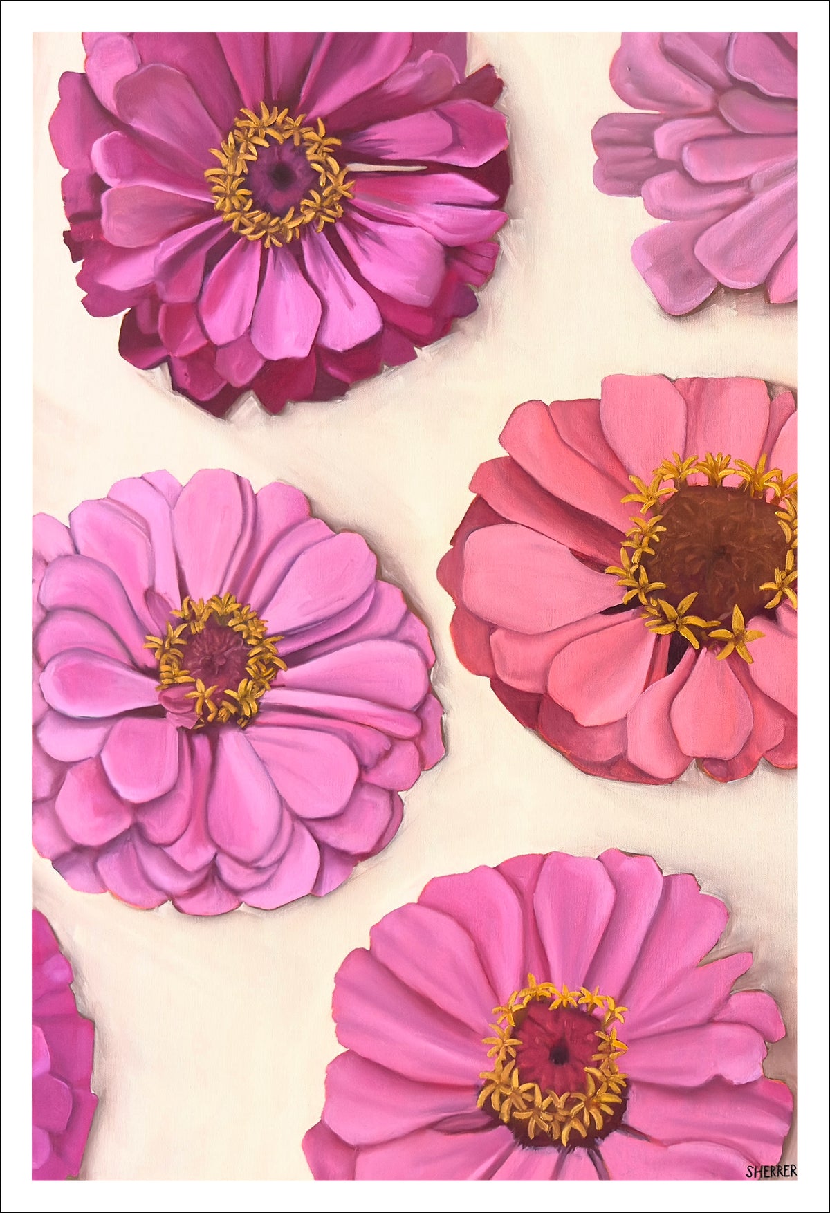 Garden Party II fine art print by Caroline Sherrer, featuring layered zinnia blossoms scattered across a tan background. The zinnias cast a soft shadow onto the background.