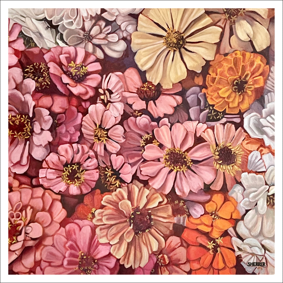 Zingy Zinnias fine art print by Caroline Sherrer, featuring pink, orange, white, yellow, and purple layered zinnia blossoms densely scattered across the page.