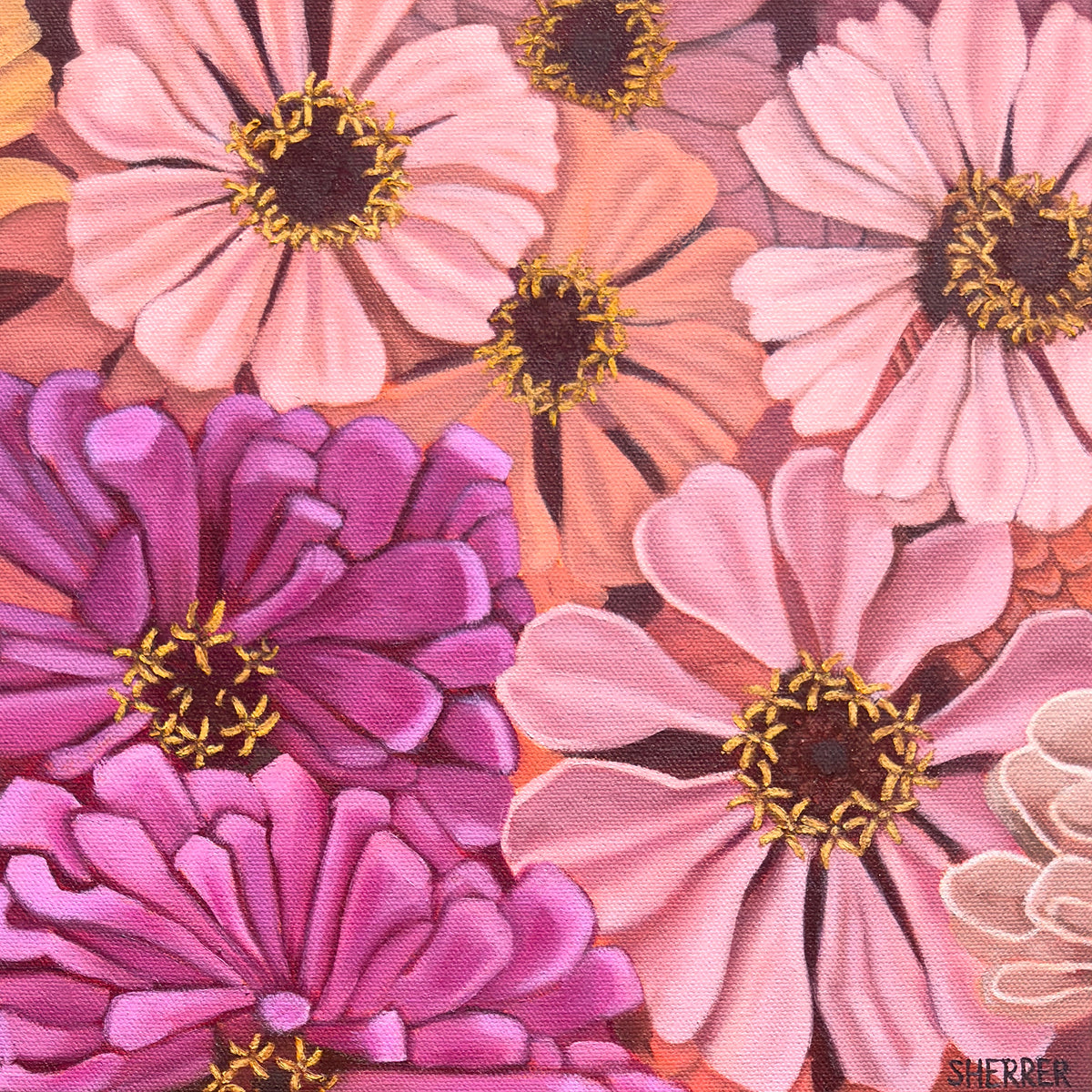 Gathering Blooms, original oil painting by Caroline Sherrer, featuring layered pink, mauve, and purple zinnia blossoms scattered densly and overlapping each other.