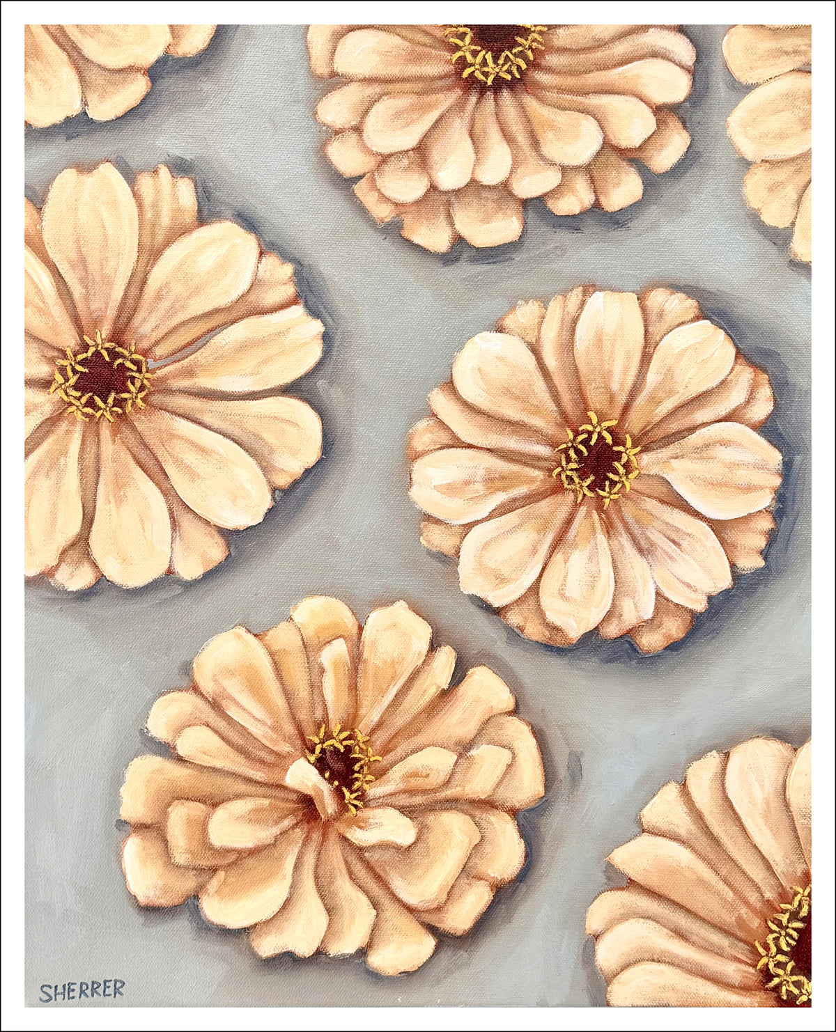 Clear Skies fine art print by Caroline Sherrer, featuring seven cream zinnia blossoms scattered across a blue-gray background.