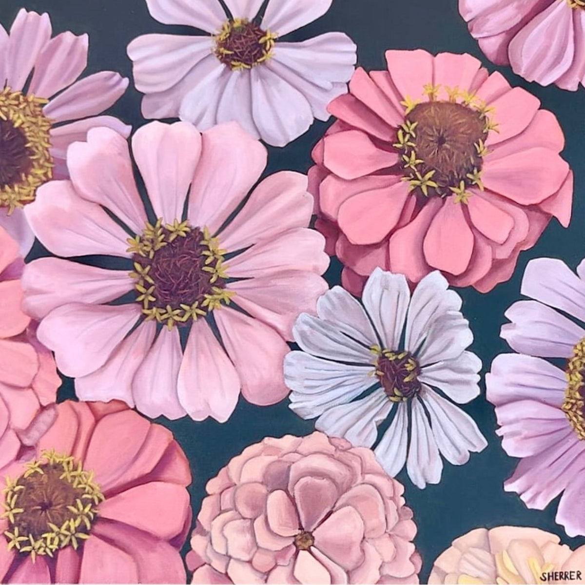 Hidden Garden II, original oil painting by Caroline Sherrer,  featuring layered pink, purple and white zinnia blossoms scattered across a dark green background.