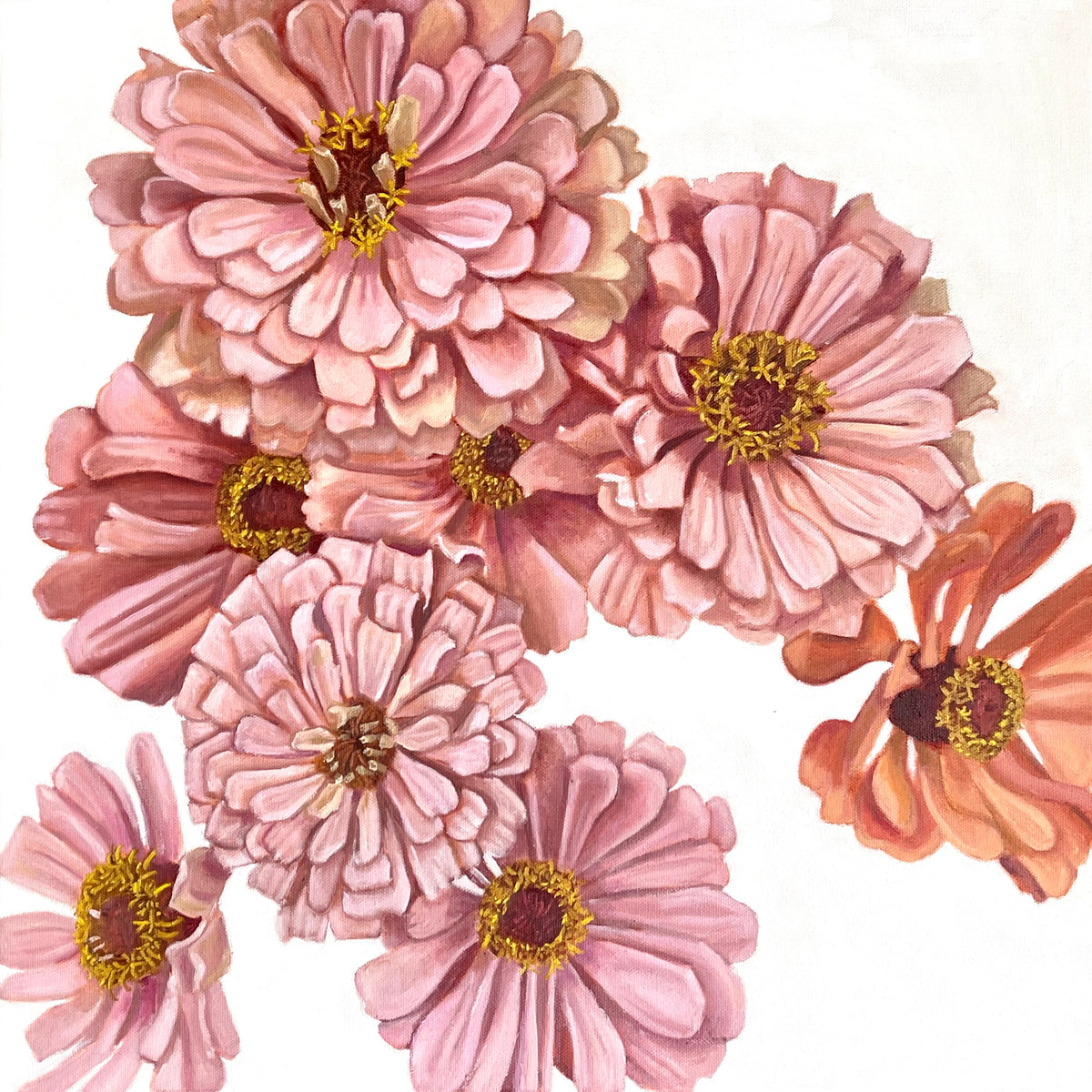 Spring Zinnias, original oil painting by Caroline Sherrer, featuring layered pink, white, and coral zinnia blossoms scattered on a white background.