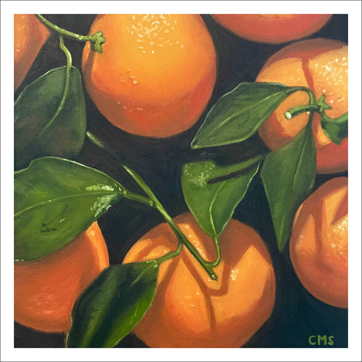 Oranges fine art print by Caroline Sherrer, featuring oranges with leafy stems resting on a black background.